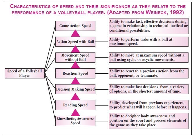 Characteristics of speed graph